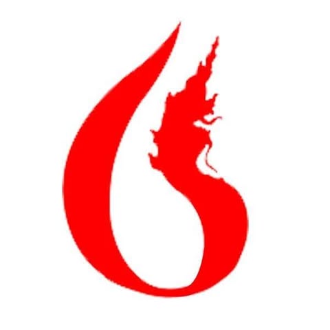 Nagani Group logo
